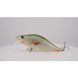 Воблер Dorado Tempter 10 cm GRO Tempter 10 cm GRO фото 2