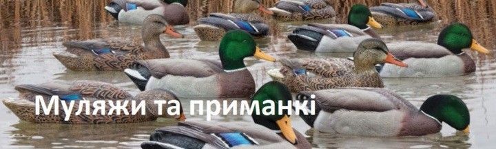decoy