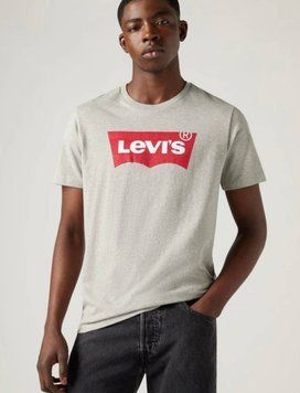 Футболка бавовняна чоловіча Levi's розмір S copy_Футболка бавовняна довга чоловіча Levi's розмір XL фото