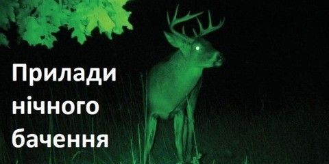 night