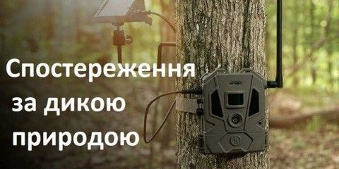 fotolov